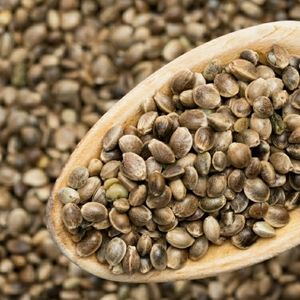 Autoflower feminised